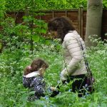 Fairy trail May 2025